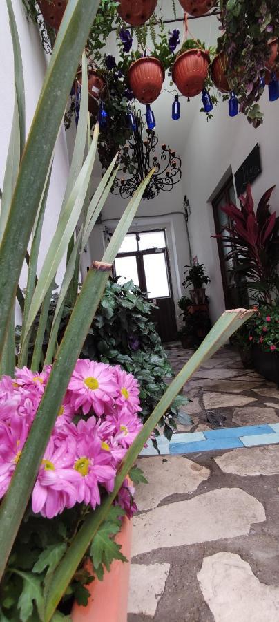 El Jardin De La Abuela Queretaro