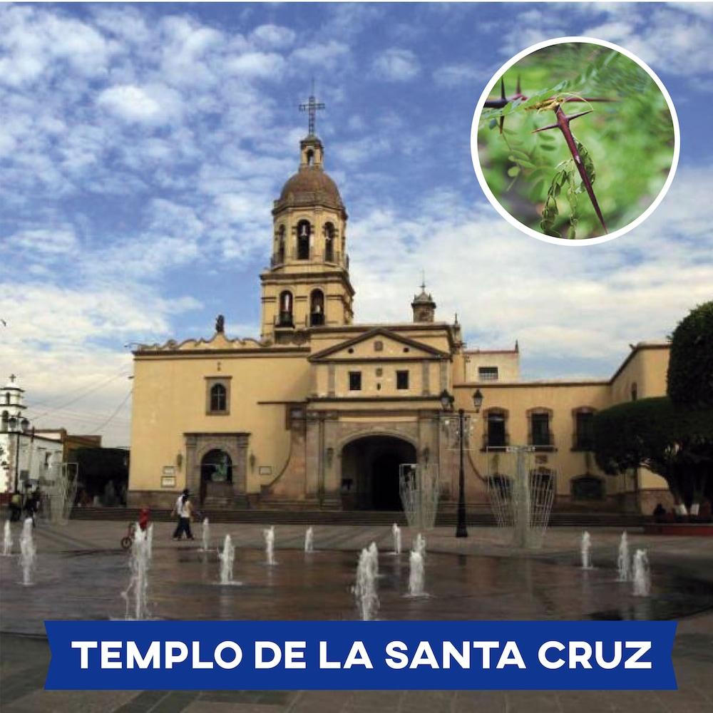 Hotel Hi Impala Querétaro