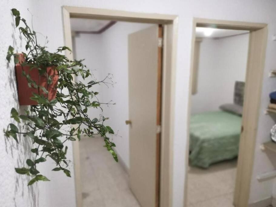 La Casa Del Oso *cerca Del Centro* Holiday home *