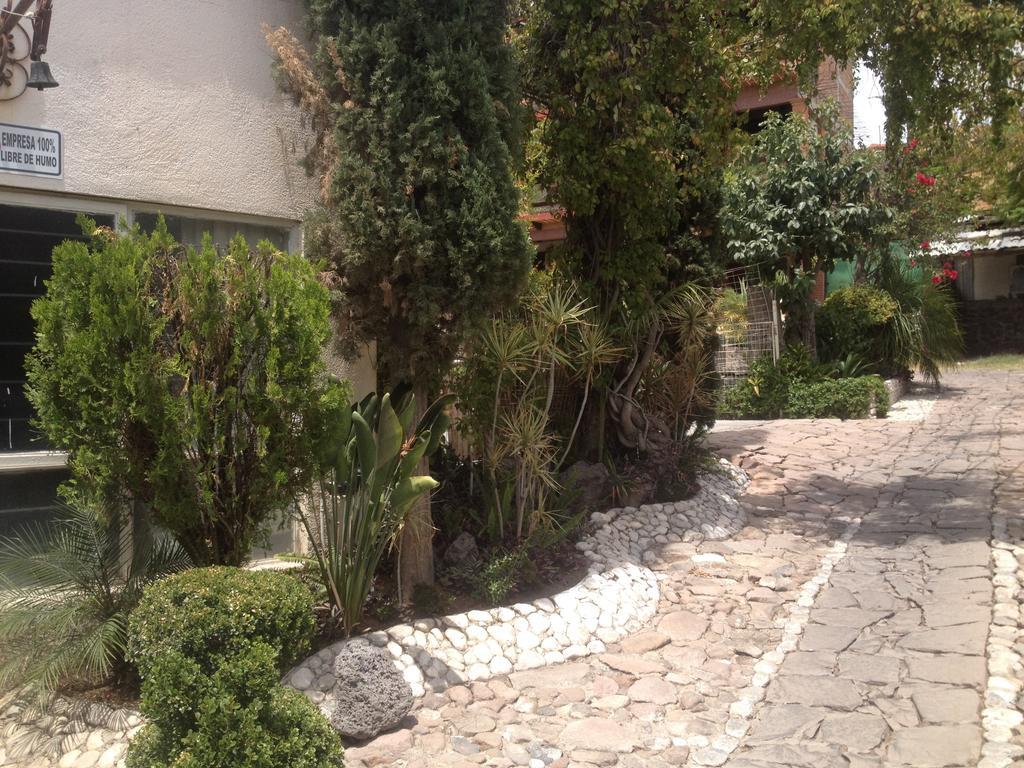 Colibri Queretaro 2*