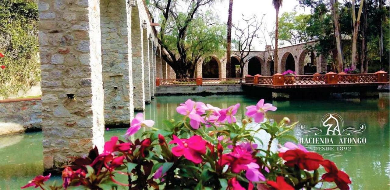 Hotel Boutique Hacienda Atongo