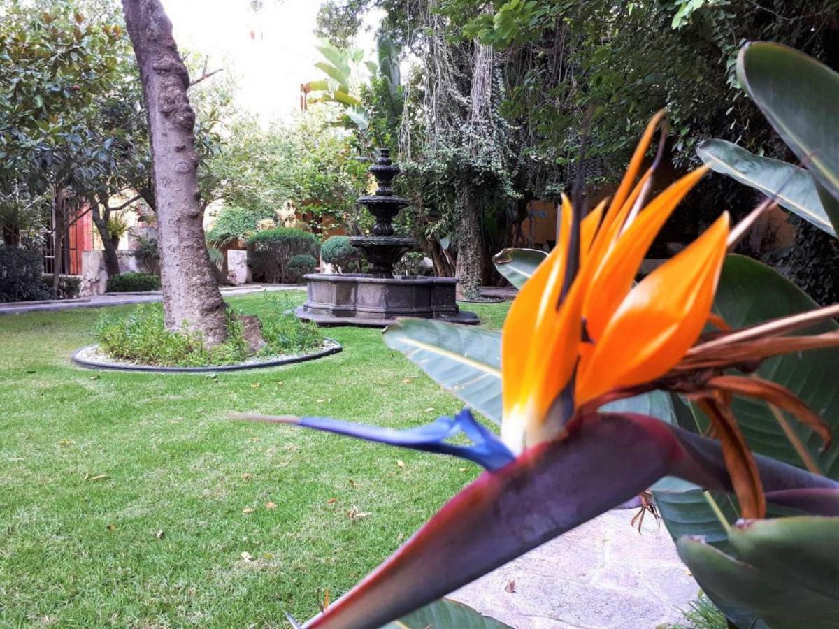 Boutique Hacienda Atongo Querétaro