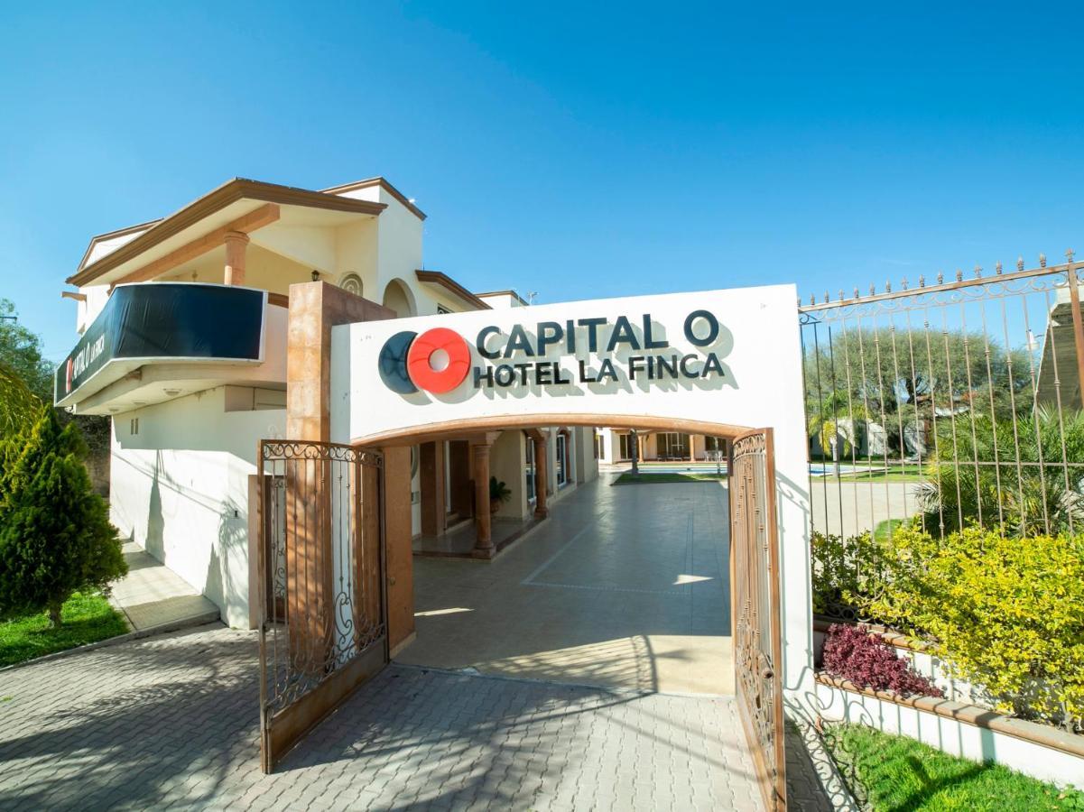 Hotel Capital O La Finca