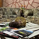Casa Dahlia Querétaro