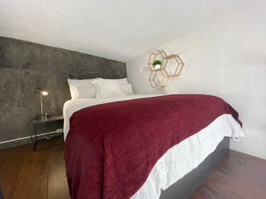 Apartamento Acogedor Loft En El Centro Historico *