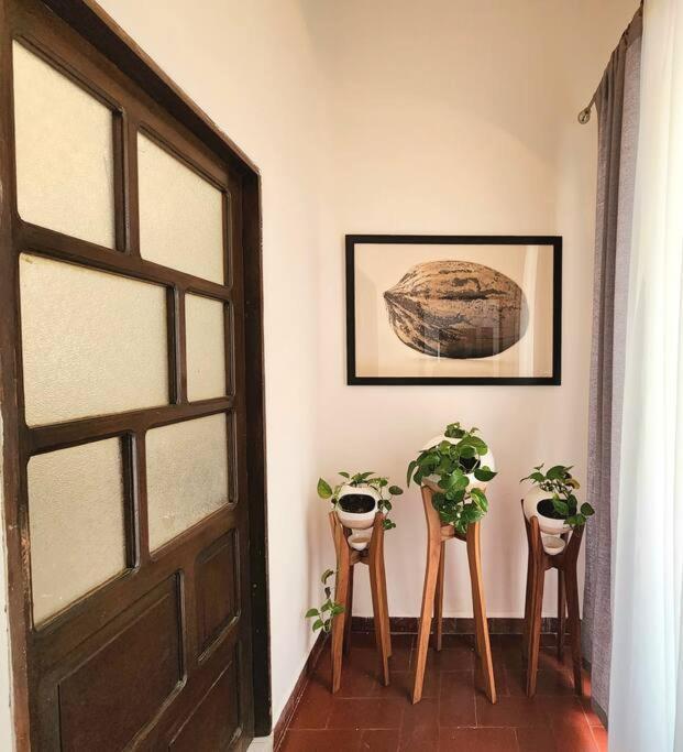 Apartamento Preciosa Cercana A Jardines *