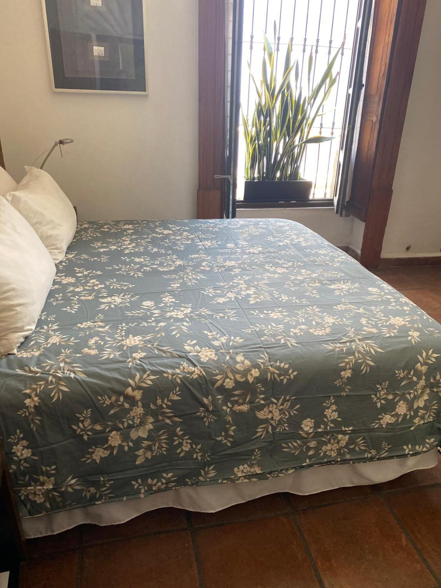 Bed and breakfast Casa Aspeytia Boutique