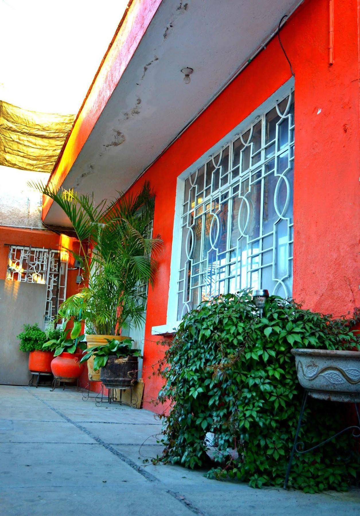 Maple Hostal