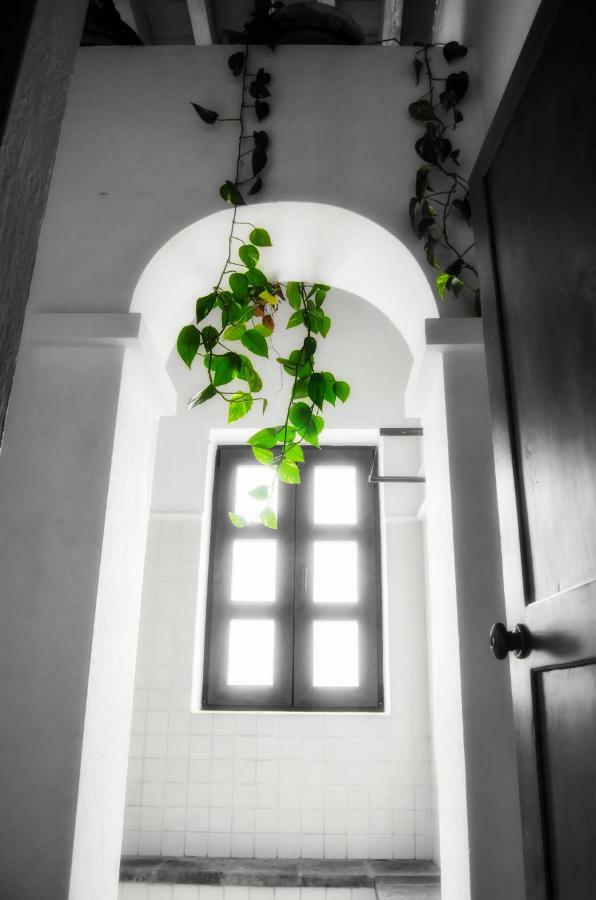 Puerta Del Lobo