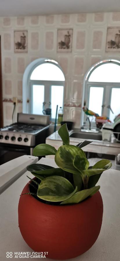 Casa Bugambilia Apartment