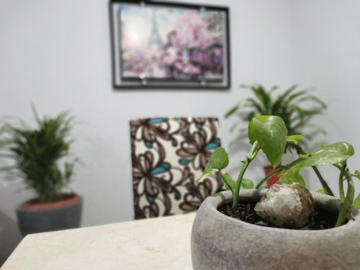 La Casa Del Oso ***cerca Del Centro*** Apartment *