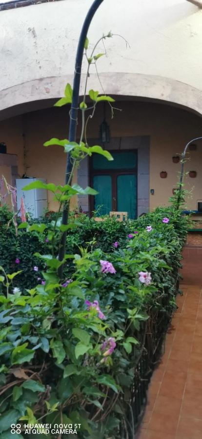 Lavanda Centro Histórico De Apartamento