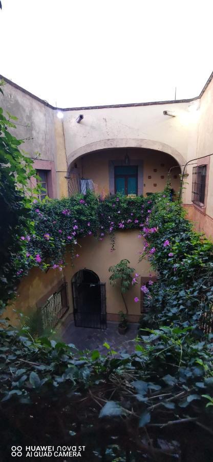Lavanda Centro Histórico De