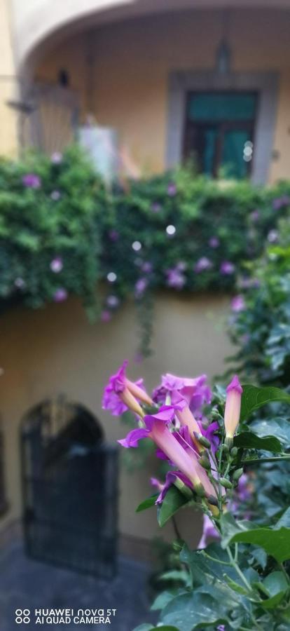 Lavanda Centro Histórico De Apartamento *
