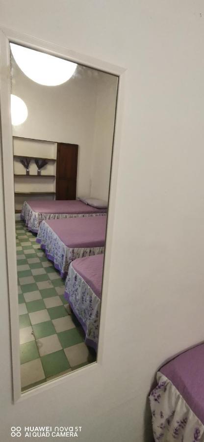Lavanda Centro Histórico De
