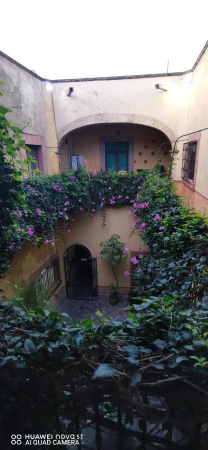Lavanda Centro Histórico De Querétaro