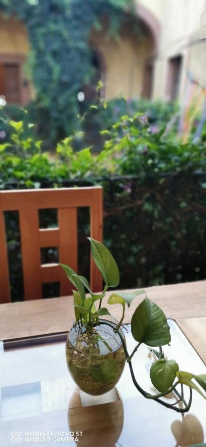 Lavanda Centro Histórico De Apartamento Querétaro