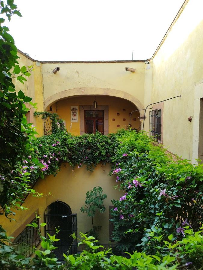 Lele Panchito Y Lavanda Juntos En El Centro Apartamento