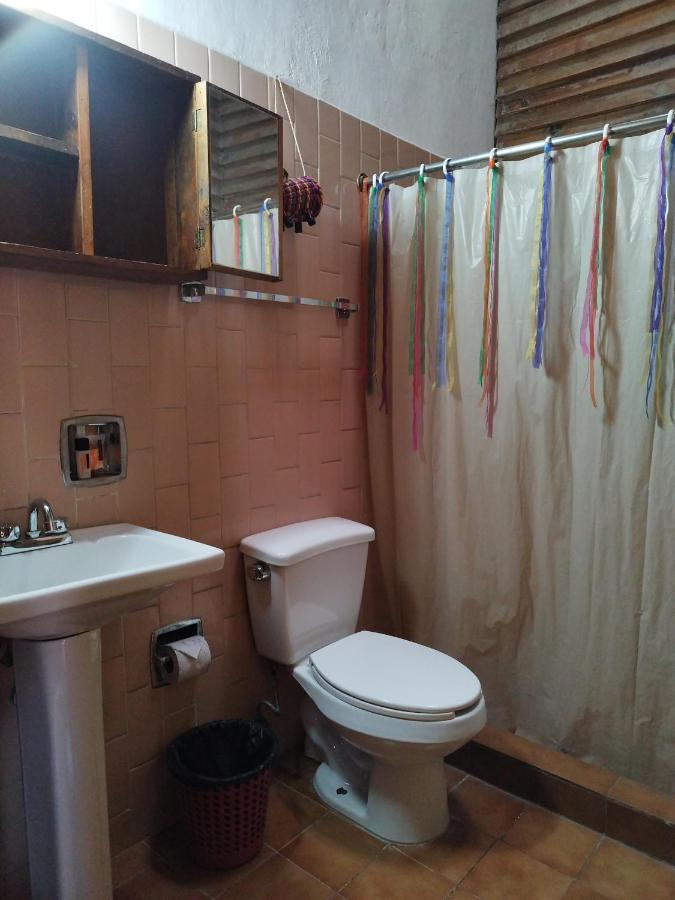 Lele Panchito Y Lavanda Juntos En El Centro Querétaro