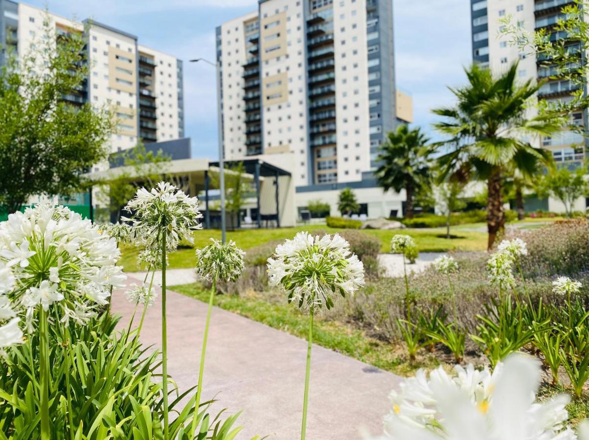 Luxury In Biosfera Towers For Unforgettable Bed and breakfast