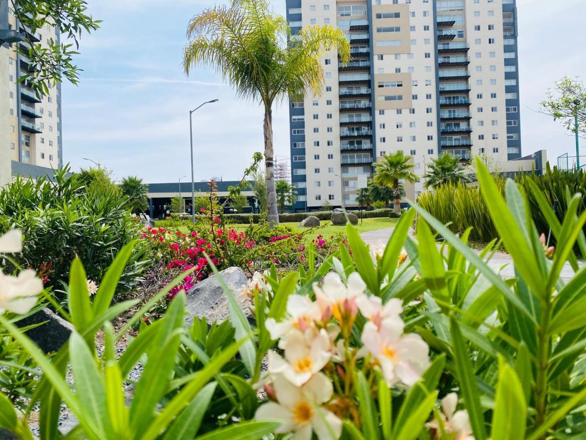 Luxury In Biosfera Towers For Unforgettable *