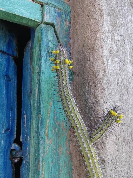 Bella Casita * Queretaro