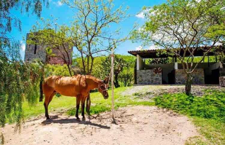 Luxury At Juriquilla, 4 Bedrooms * Querétaro