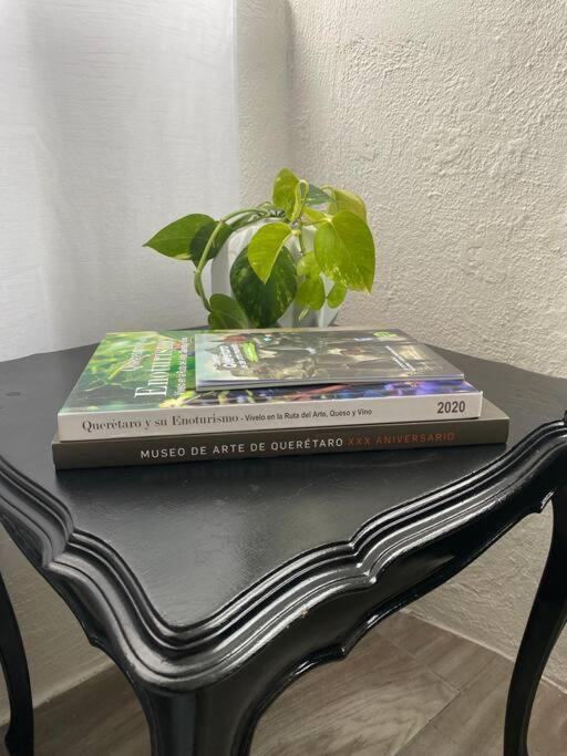 Apartamento Acogedor Loft En El Centro Historico