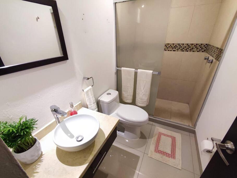 Loft Con Vista Panoramica Milenio Lll *
