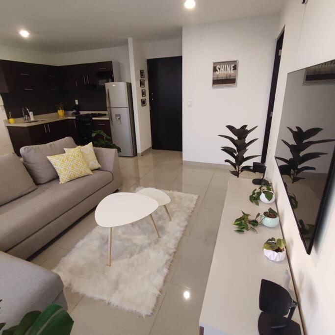 Loft Con Vista Panoramica Milenio Lll