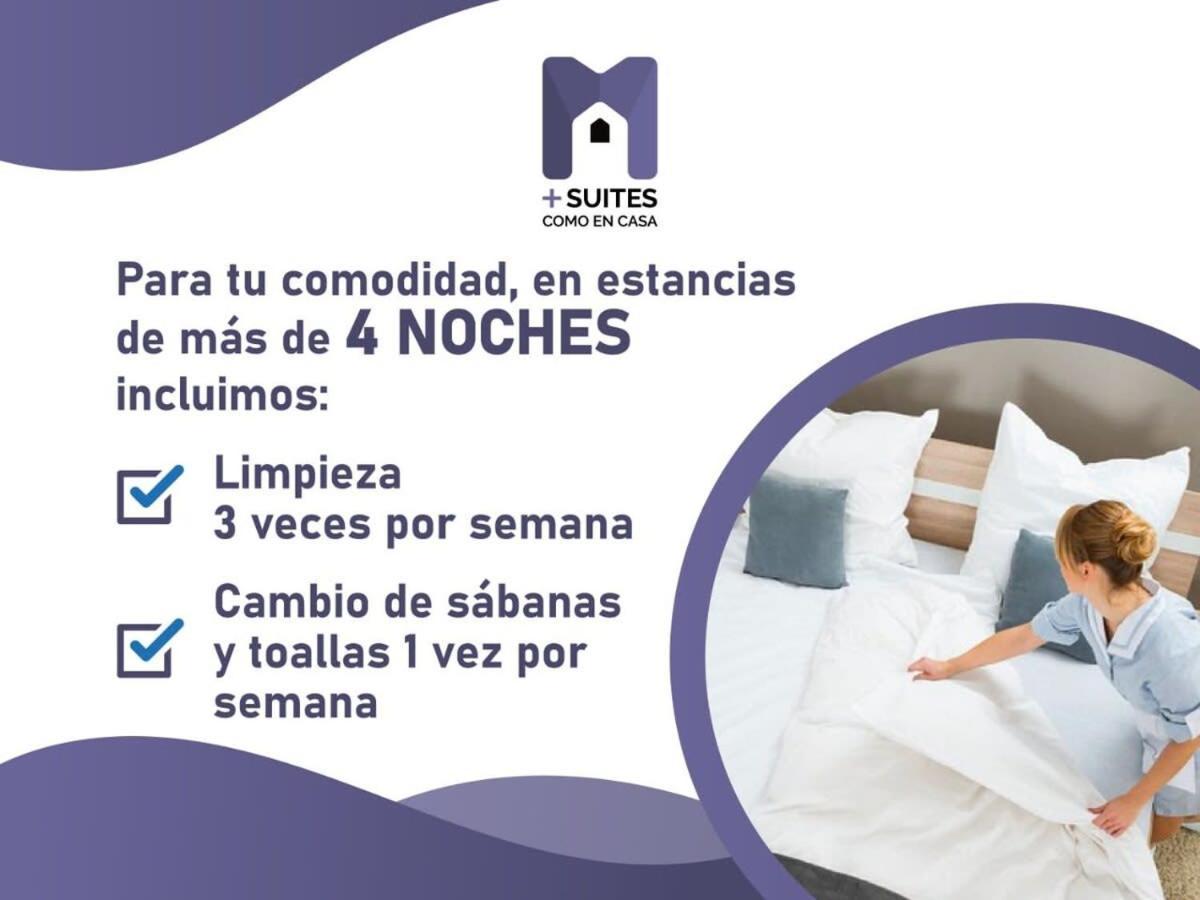 Ms Excelente Alberca Milenio C32
