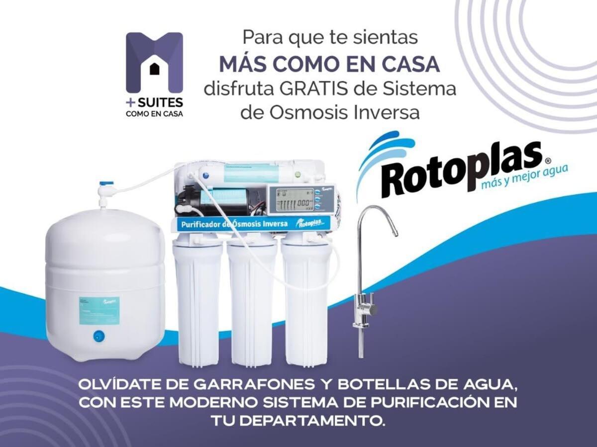 Ms Excelente Alberca Milenio C32