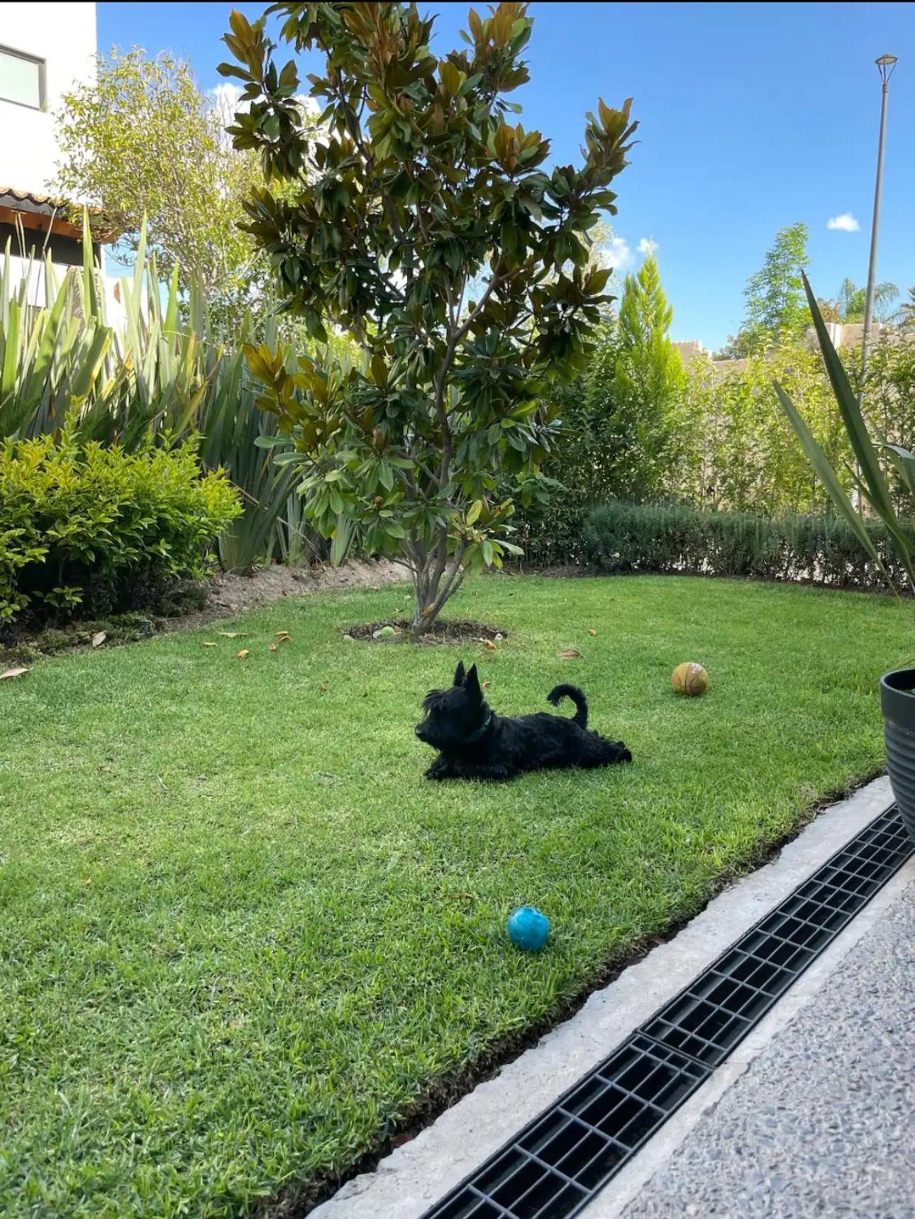 Depa Teo * Querétaro