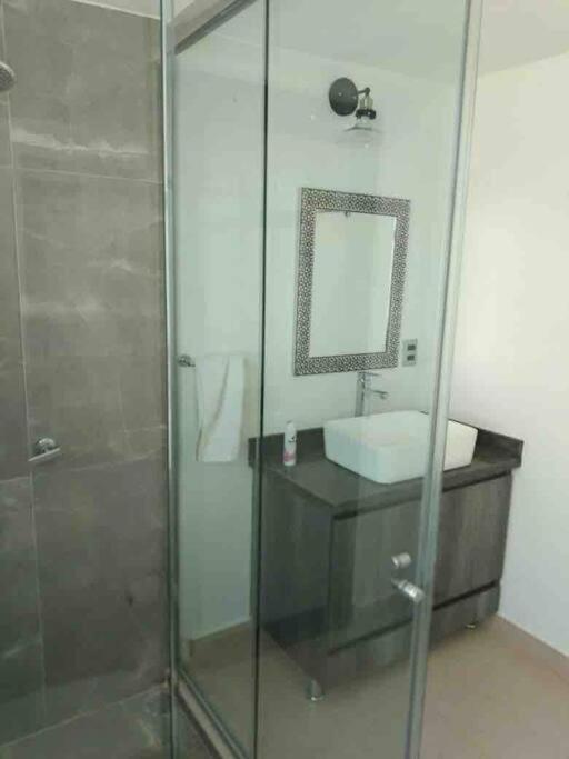 Comodo Departamento El Mezquite, Saldarriaga Qro Queretaro