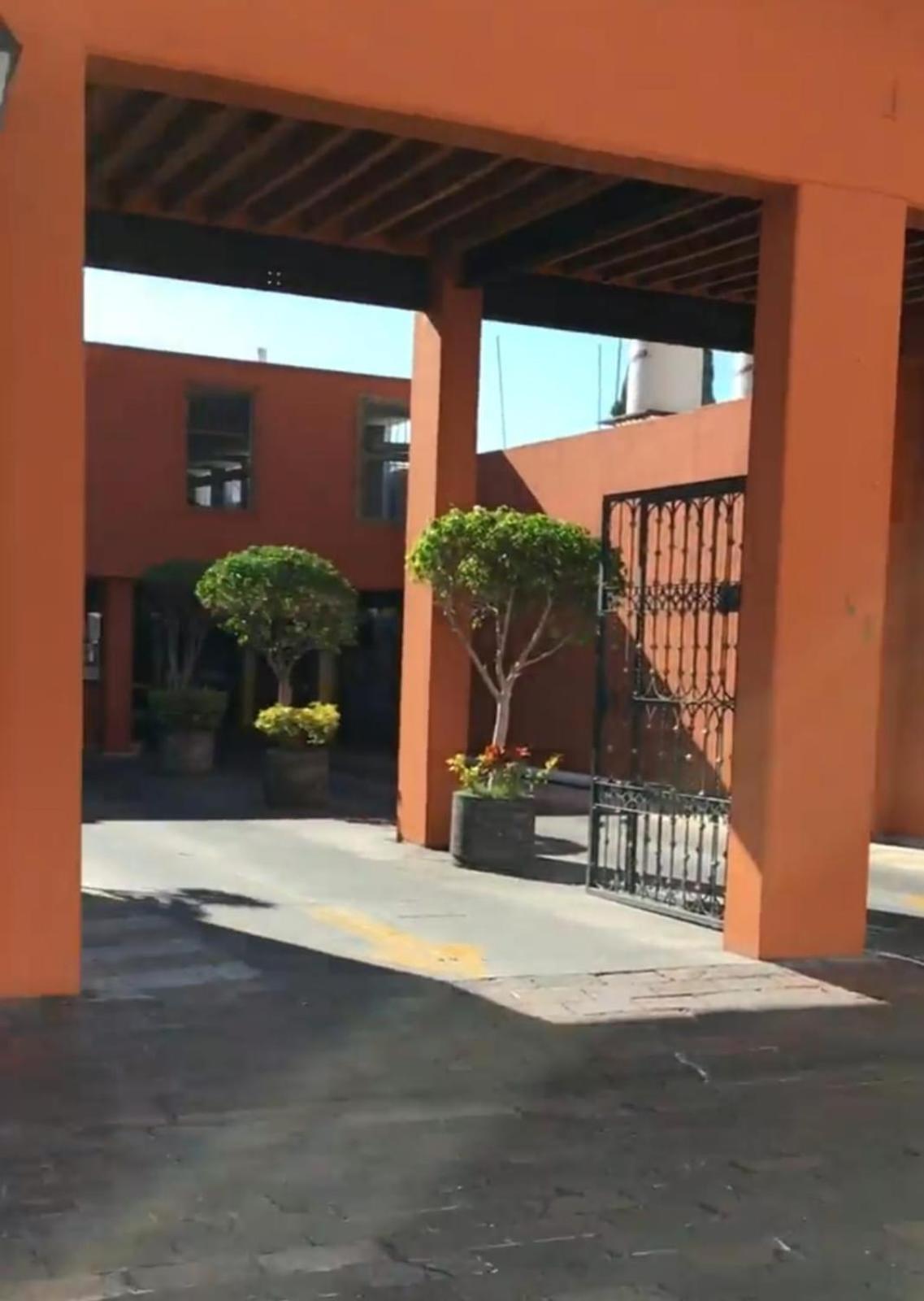 Lele Panchito Y Lavanda Juntos En El Centro Apartamento *