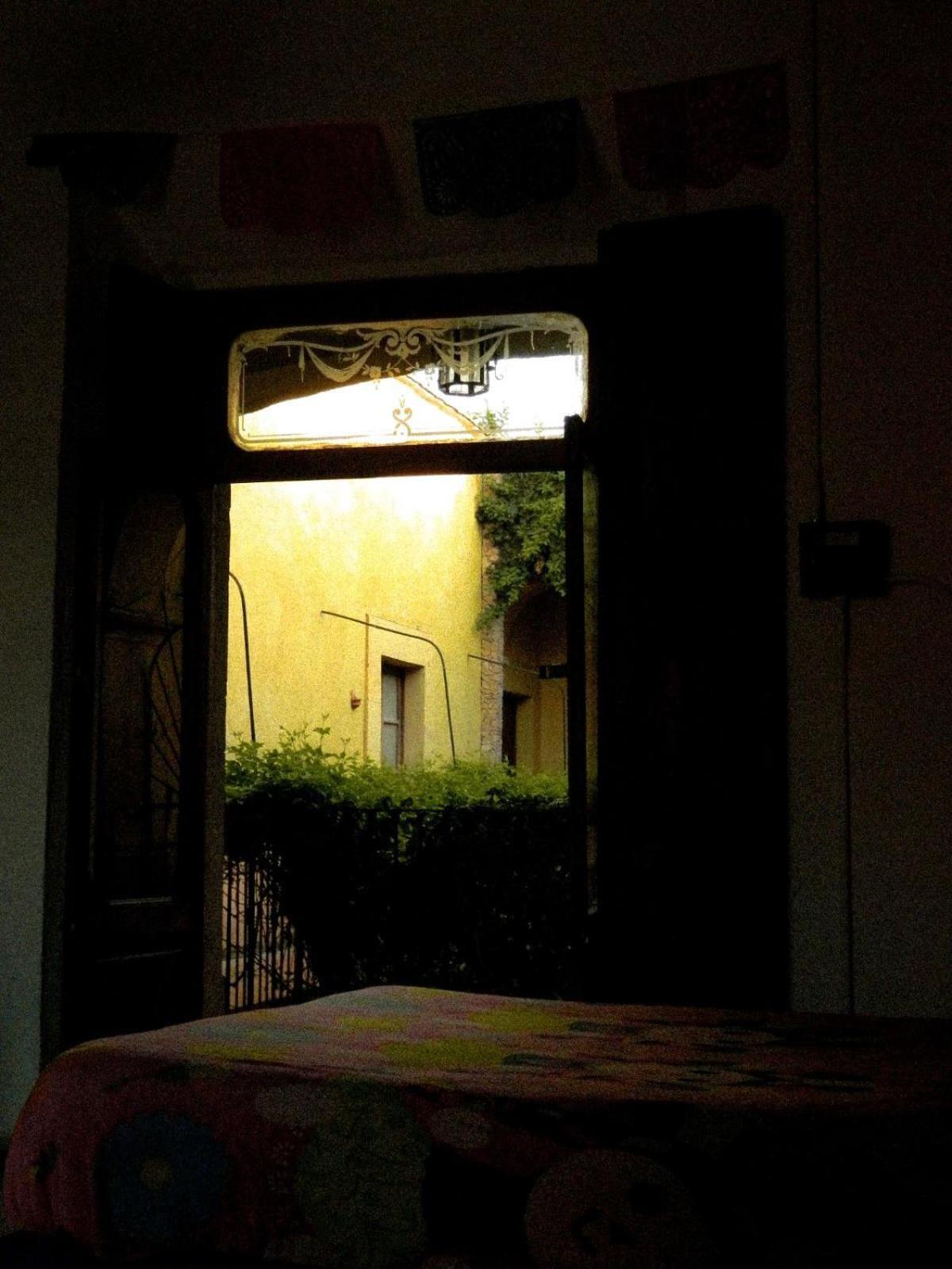 Lele Panchito Y Lavanda Juntos En El Centro Apartamento *