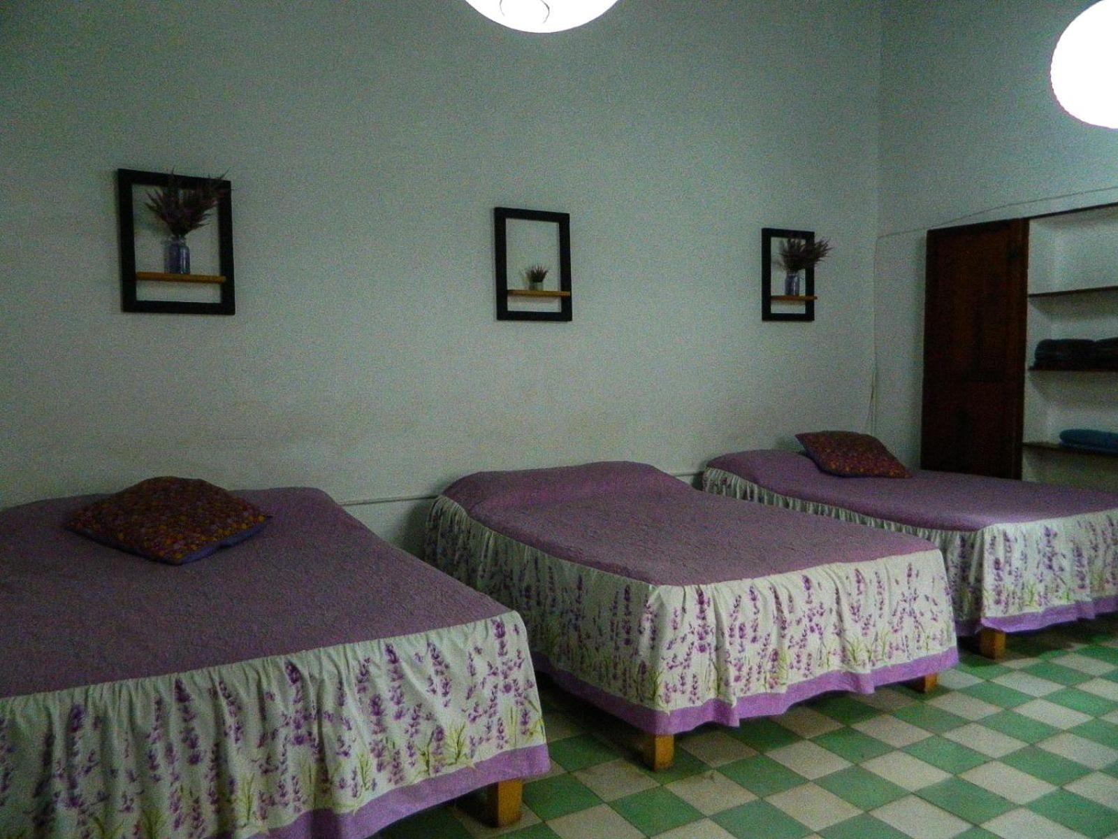 Lele Panchito Y Lavanda Juntos En El Centro Apartamento