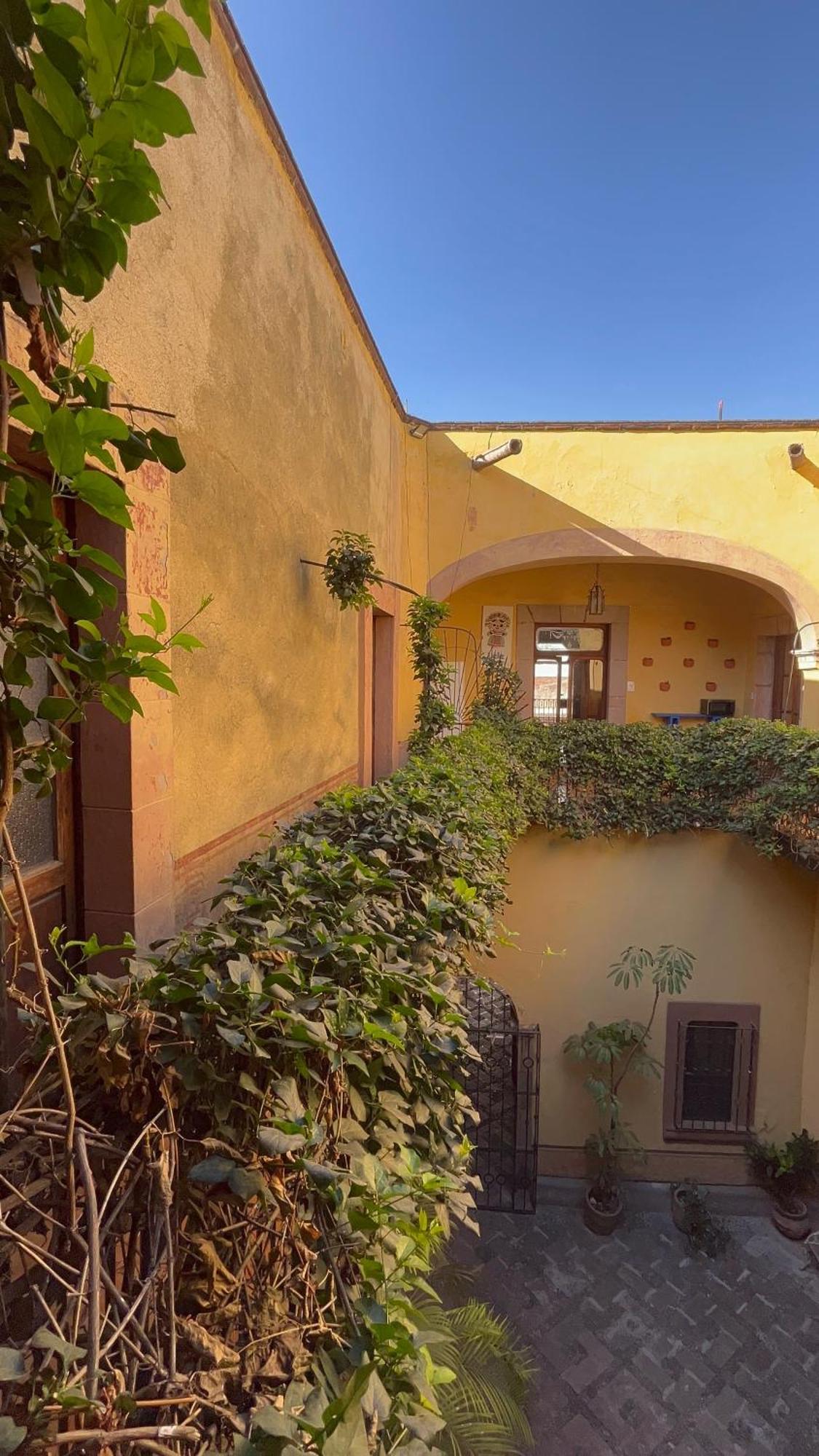 Lele Panchito Y Lavanda Juntos En El Centro Apartamento