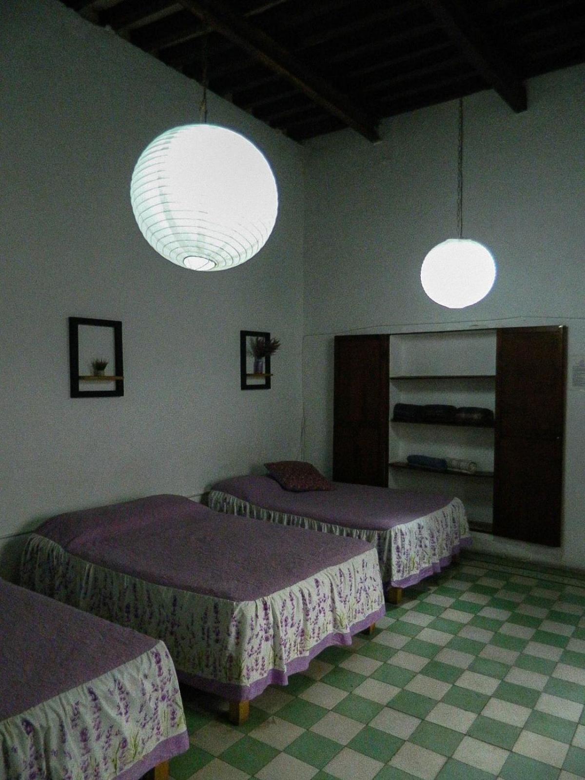 Lele Panchito Y Lavanda Juntos En El Centro Apartamento Querétaro