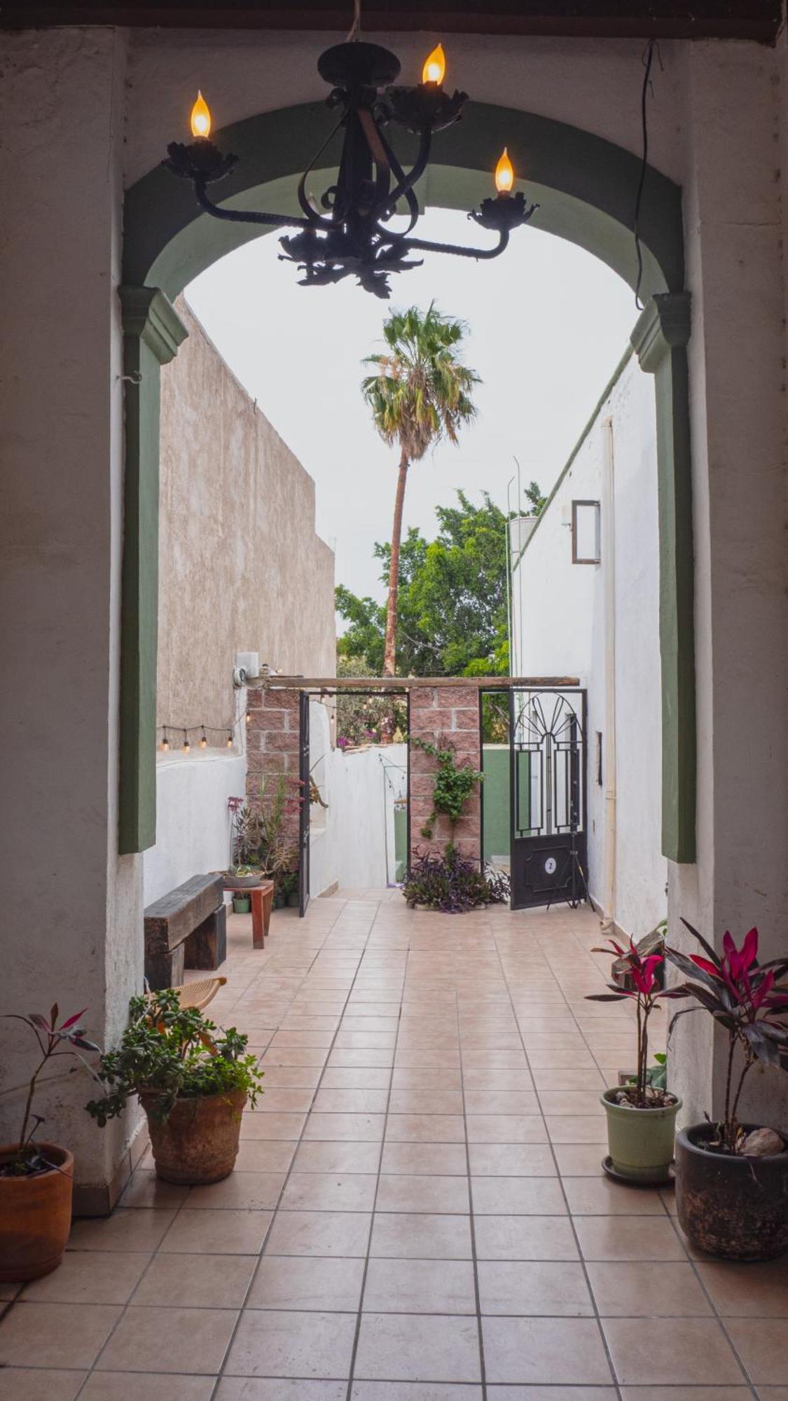 Casa Olivo